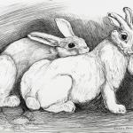 Winter Rabbits, by Barbara Bean