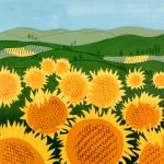 Catching Some Rays, by Judith Long