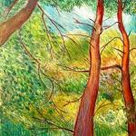 Two Pines, colored pencil by Alan Mast