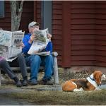 Morning News, by Craig Snapp