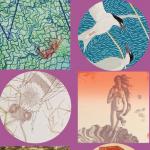 A sampling of works from Maine and Ecuador