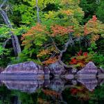 Japanese Scene in the Maine Wilderness